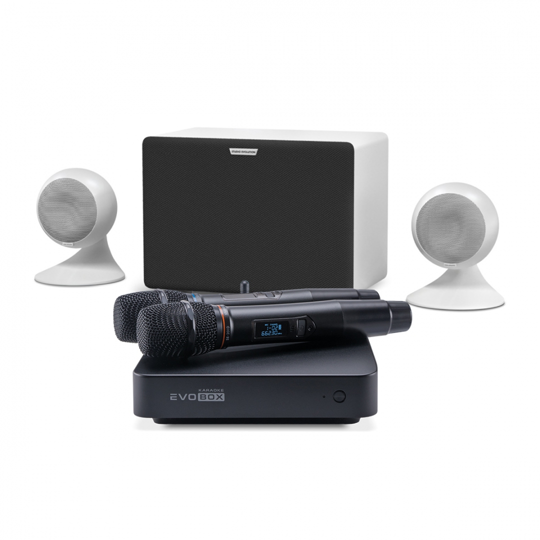 караоке-комплект EVOBOX Classic + EvoSound Sphere 2.1 в Балашове