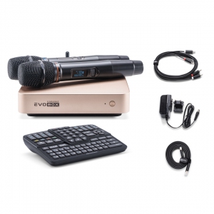 EVOBOX Plus караоке-система для дома в Балашове